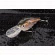 Kép 2/2 - Rapture Neo Crank Sqr DR F wobbler