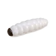 Trabucco Yummy Bait Camola white 8 db plasztik csali