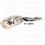 Rapture Popper Frog 60mm 1/2Oz(15g) Albino, gumibéka