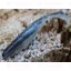 Rapture Power Shad Dual 5 cm Black Silver 20 db, plasztik csali