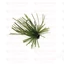 Rapture Tg Finesse Rub.Jig 2,3g #01 Watermelon 1db műcsali